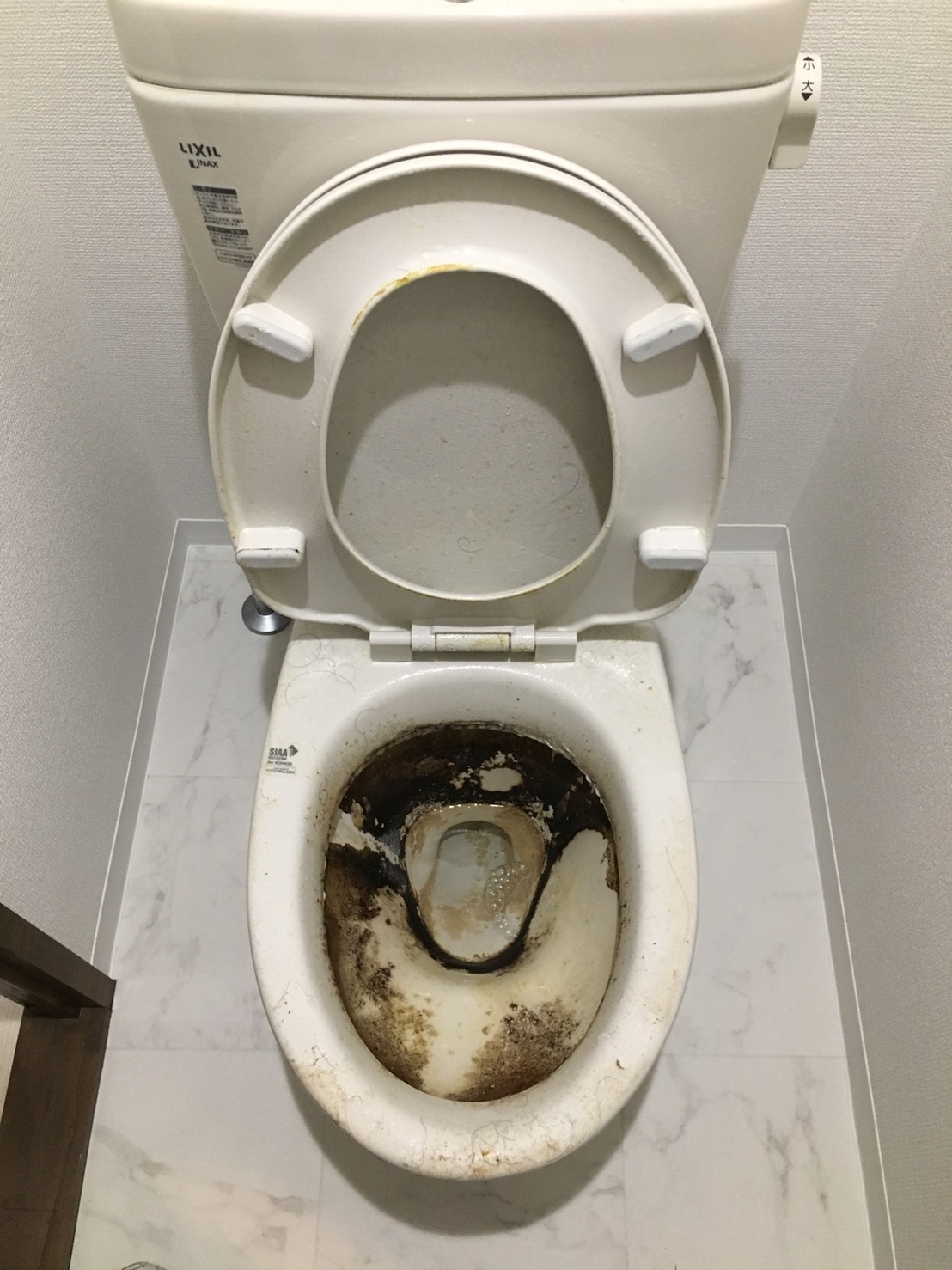 トイレ清掃　伊丹市　トイレ清掃ハウスクリーニング、ドロドロ汚れ/しつこい汚れを徹底洗浄ピカピカにスッキリきれい！トイレをきれいなまま使い続けるためにも、ぜひプロのおそうじプラスにお任せください！